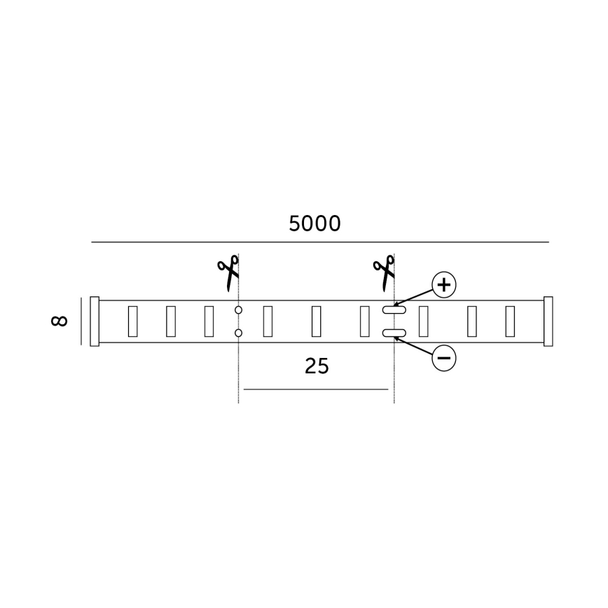 LED Pásek LED/50W/12V 5 m 6500K