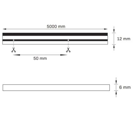 LED Pásek NEON 5m LED/48W/24V 4000K IP65