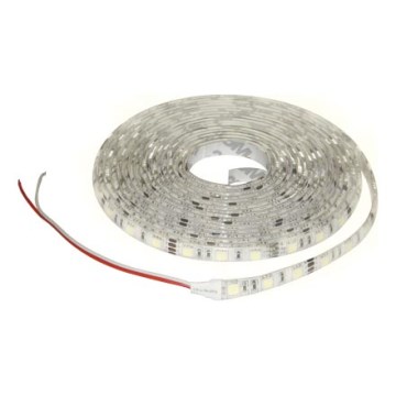 LED pásek STRIP 5m studená bílá - GXLS064 LED pásek STRIP 5m studená bílá - GXLS064