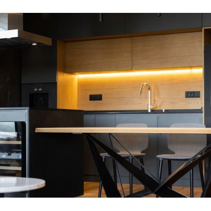 LED Pásek TRAMO LED/500W/12V 50m 3000K