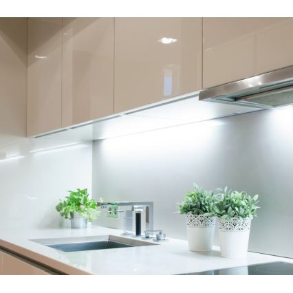 LED Pásek TRAMO LED/500W/12V 50m 6500K