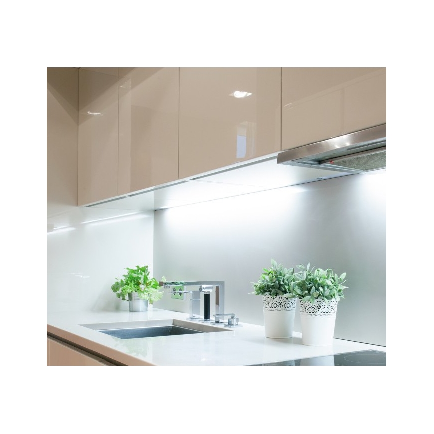 LED Pásek TRAMO LED/500W/12V 50m 6500K