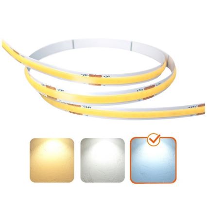 LED Pásek TRAMO LED/500W/24V 50 m 6500K