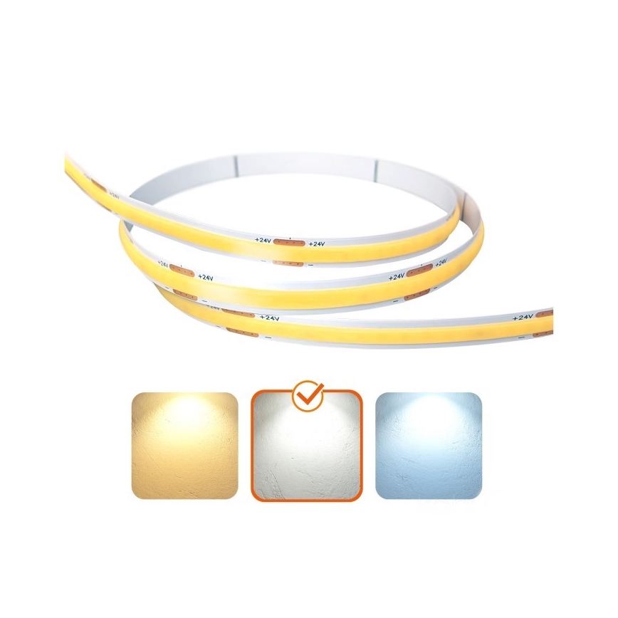 LED Pásek TRAMO LED/5W/24V 50 m 4000K