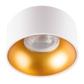 LED Podhledové svítidlo MINI RITI 1xGU10/25W/230V bílá/zlatá
