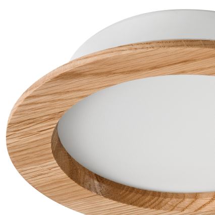 LED Podhledové svítidlo WOODY SPOT LED/16,5W/230V 4000K dub pr. 18,5 cm