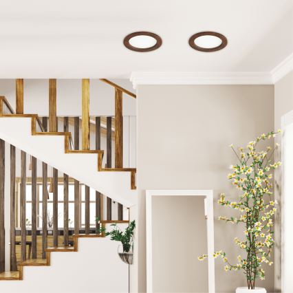 LED Podhledové svítidlo WOODY SPOT LED/16,5W/230V 4000K třešeň pr. 18,5 cm