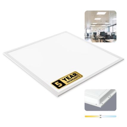 LED Podhledový panel DAVRO LED/40W/230V 4000K 59,5x59,5 cm bílá