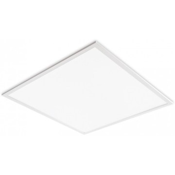 LED Podhledový panel DAVRO LED/40W/230V 4000K 62x62 cm bílá