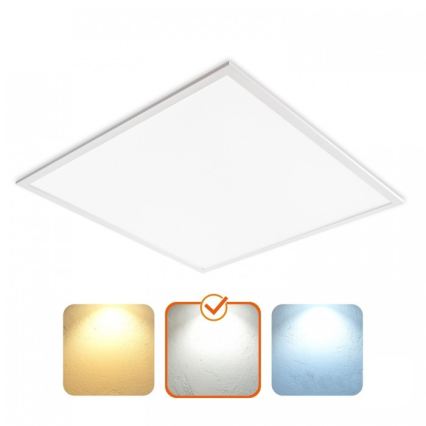 LED Podhledový panel DAVRO LED/40W/230V 4000K 62x62 cm bílá