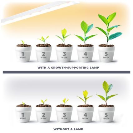 LED Podlinkové svítidlo pro pěstování rostlin GROWLY LED/9W/230V bílá