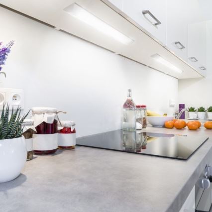 LED Podlinkové svítidlo VIGA LED/20W/230V 4000K bílá