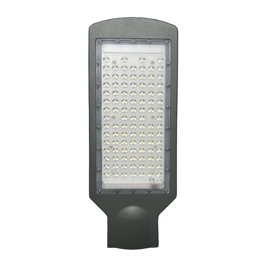 LED Pouliční lampa LED/100W/170-400V IP65