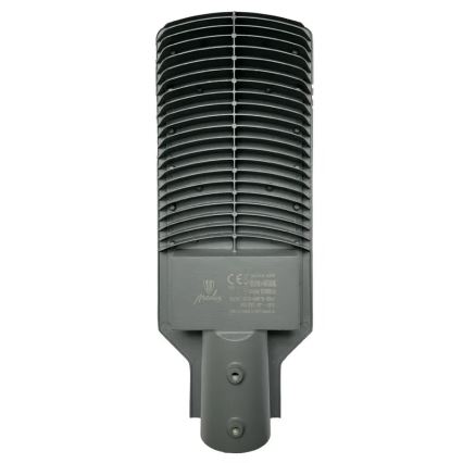 LED Pouliční lampa LED/100W/170-400V IP65