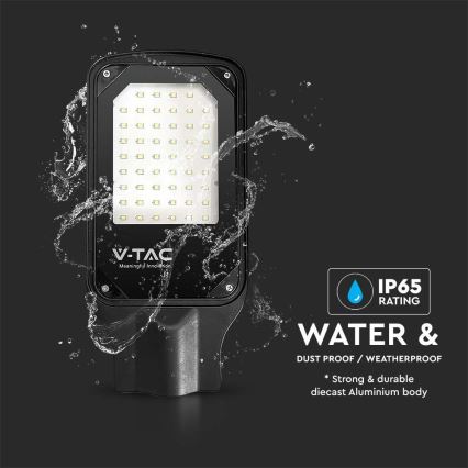 LED Pouliční lampa LED/30W/230V 6500K IP65