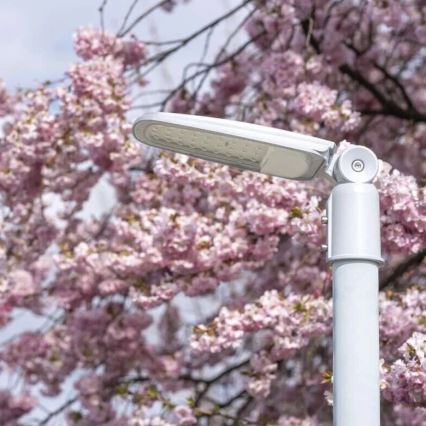 LED Pouliční lampa SOLIS LED/30W/230V 4000K IP65