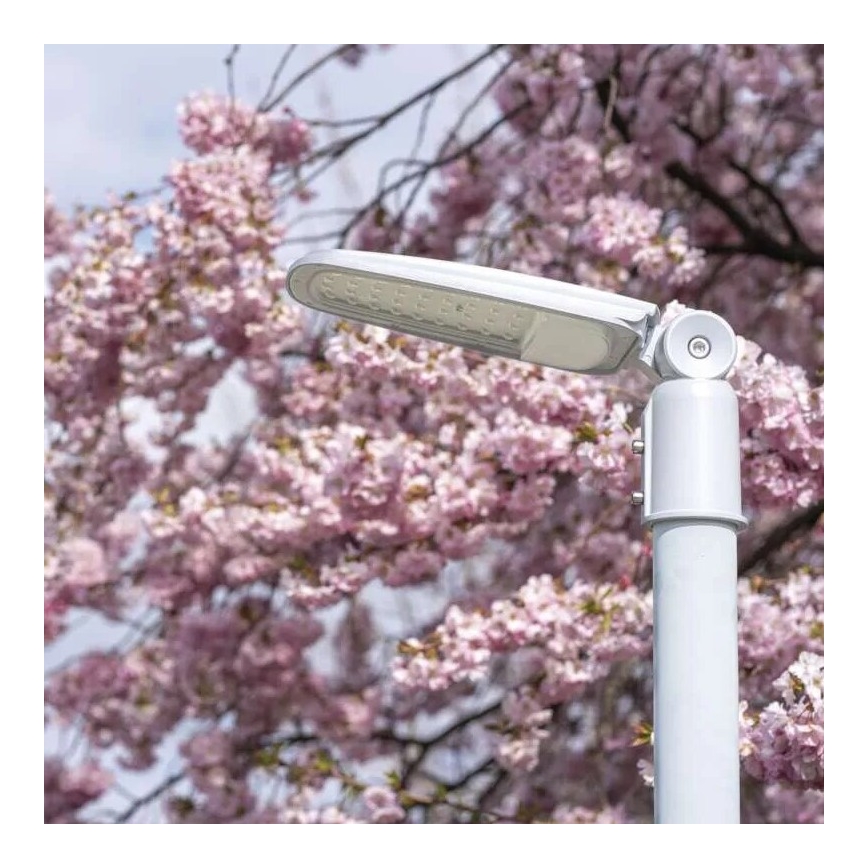 LED Pouliční lampa SOLIS LED/30W/230V 4000K IP65