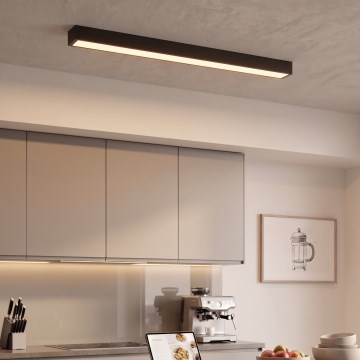 LED Přisazený/lustr na lanku LED/44W/230V 3000K 120 cm černá