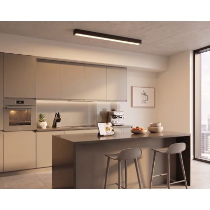 LED Přisazený/lustr na lanku LED/44W/230V 3000K 120 cm černá