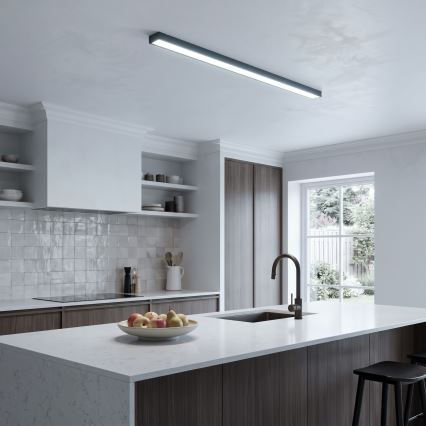 LED Přisazený/lustr na lanku LED/44W/230V 6000K 120 cm černá