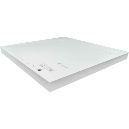 LED Přisazený panel ILLY LED/36W/230V