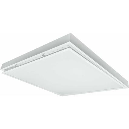 LED Přisazený panel ILLY LED/36W/230V