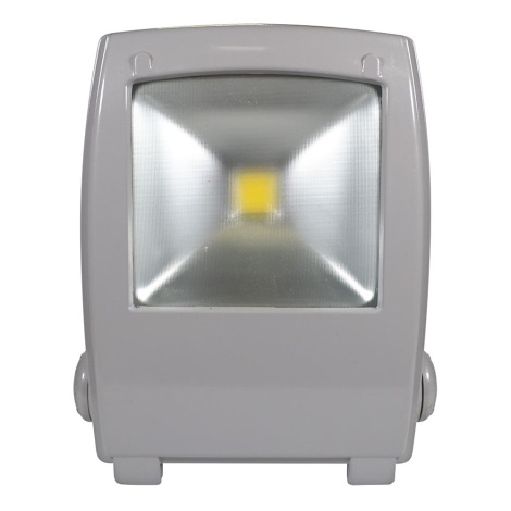 LED Reflektor FLOOD FE-N LED/30W/230V IP65