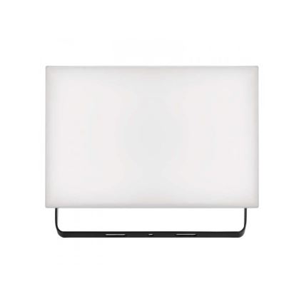 LED Reflektor LED/30W/230V IP65