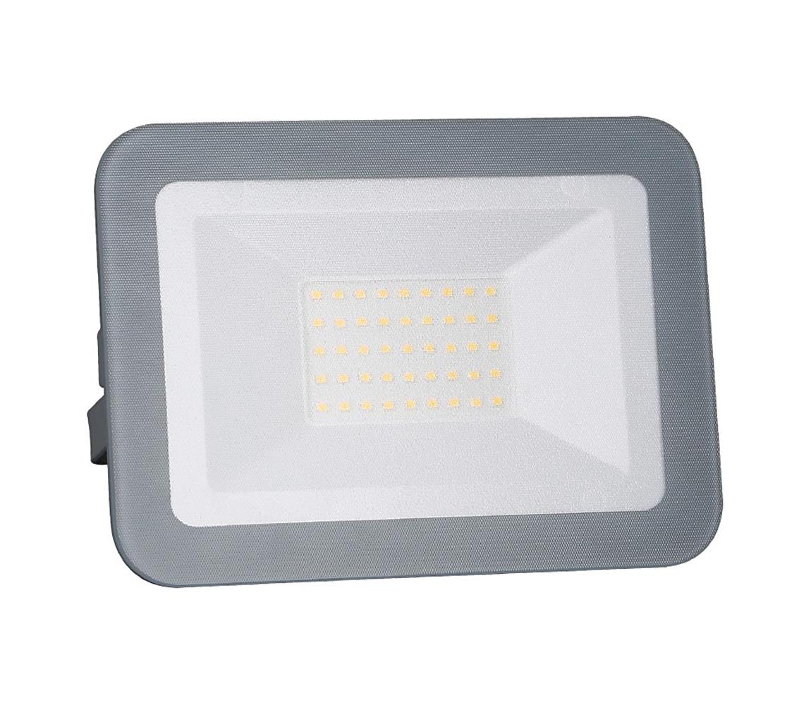 Nedes LED Reflektor LED/30W/230V IP65 ND3136