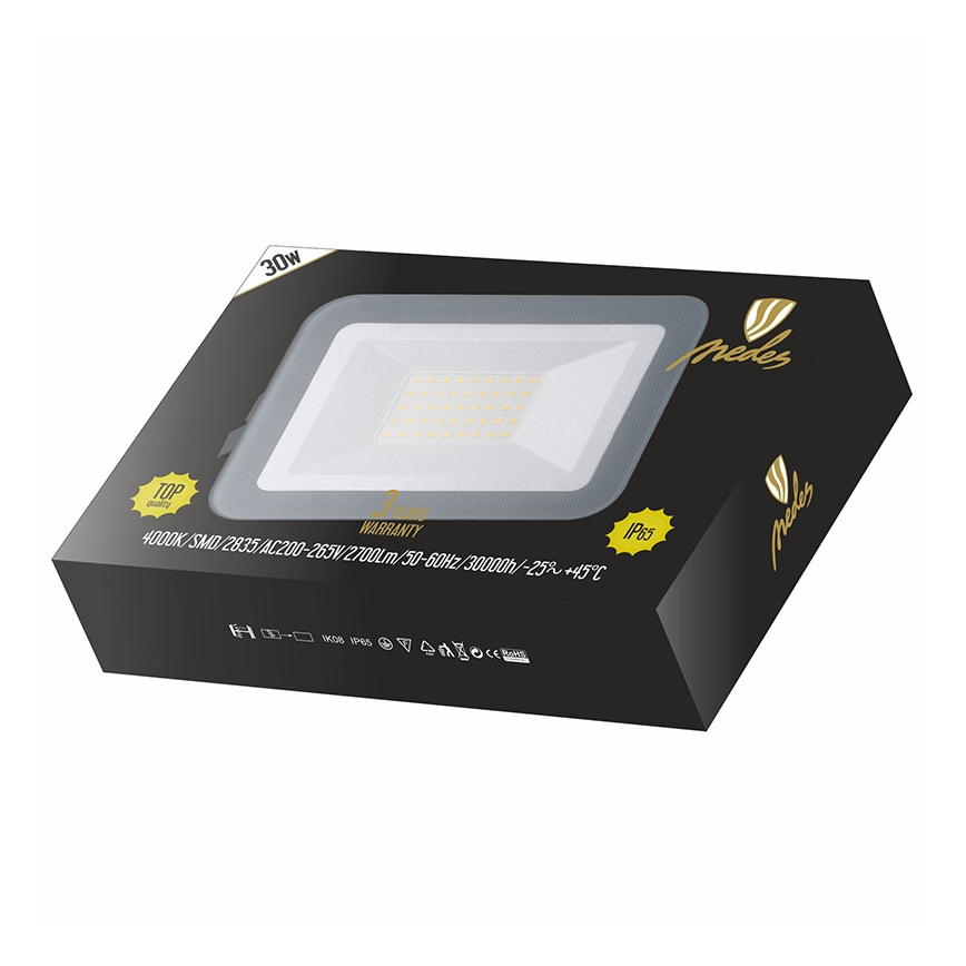 LED Reflektor LED/30W/230V IP65