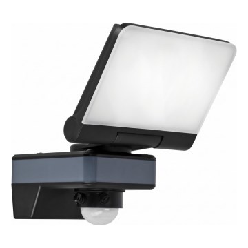 LED Reflektor se senzorem pohybu a soumraku LED/24W/230V 4200K IP54 černá
