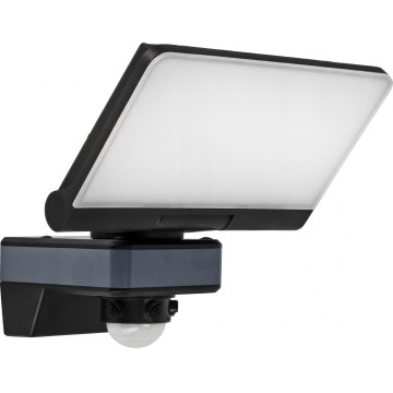 LED Reflektor se senzorem pohybu a soumraku LED/44W/230V 4200K IP54 černá
