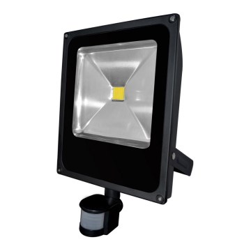 LED Reflektor se senzorem pohybu DAISY LED/50W/230V IP44