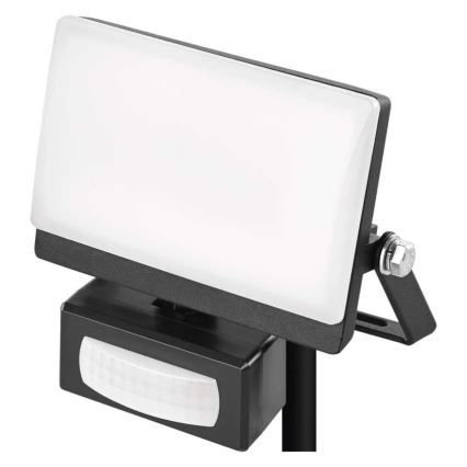 LED Reflektor se senzorem pohybu a soumraku TAMBO EVO LED/10W/230V 4000K IP44 černá