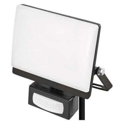 LED Reflektor se senzorem pohybu a soumraku TAMBO EVO LED/20W/230V 4000K IP44 černá