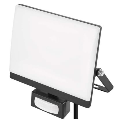 LED Reflektor se senzorem pohybu a soumraku TAMBO EVO LED/30W/230V 4000K IP44 černá
