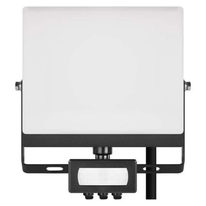 LED Reflektor se senzorem pohybu a soumraku TAMBO EVO LED/30W/230V 4000K IP44 černá