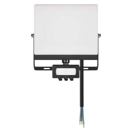 LED Reflektor se senzorem pohybu a soumraku TAMBO EVO LED/30W/230V 4000K IP44 černá