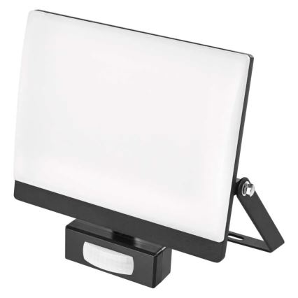 LED Reflektor se senzorem pohybu a soumraku TAMBO EVO LED/50W/230V 4000K IP44 černá