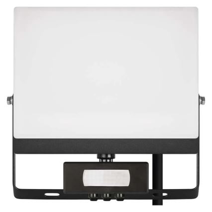 LED Reflektor se senzorem pohybu a soumraku TAMBO EVO LED/50W/230V 4000K IP44 černá