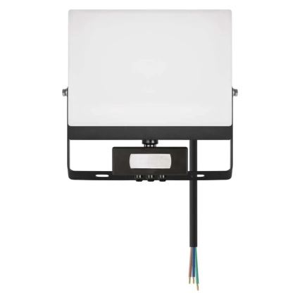 LED Reflektor se senzorem pohybu a soumraku TAMBO EVO LED/50W/230V 4000K IP44 černá