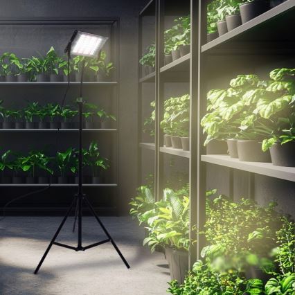 LED Reflektor se stojanem pro pěstování rostlin FIRON LED/45W/230V IP54 černá