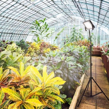 LED Reflektor se stojanem pro pěstování rostlin FIRON LED/45W/230V IP54 černá
