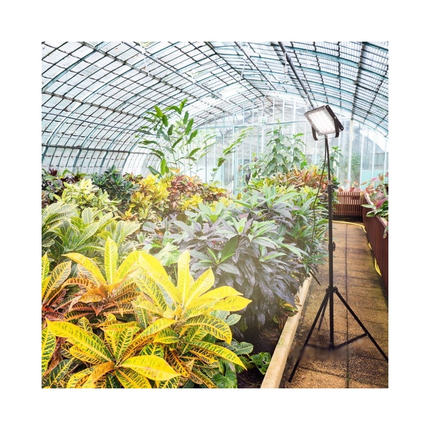 LED Reflektor se stojanem pro pěstování rostlin FIRON LED/45W/230V IP54 černá