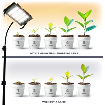 LED Reflektor se stojanem pro pěstování rostlin FIRON LED/45W/230V IP54 černá