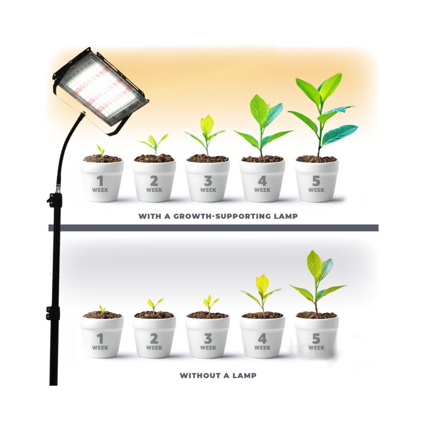 LED Reflektor se stojanem pro pěstování rostlin FIRON LED/45W/230V IP54 černá