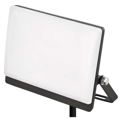 LED Reflektor TAMBO EVO LED/20W/230V 4000K IP65 černá