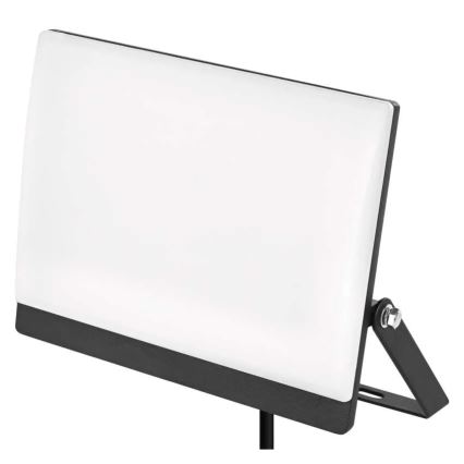 LED Reflektor TAMBO EVO LED/50W/230V 4000K IP65 černá