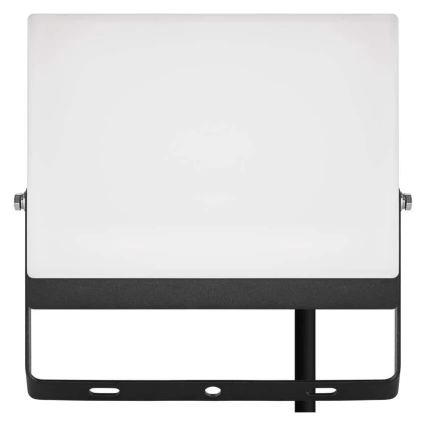 LED Reflektor TAMBO EVO LED/50W/230V 4000K IP65 černá