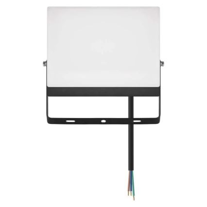 LED Reflektor TAMBO EVO LED/50W/230V 4000K IP65 černá